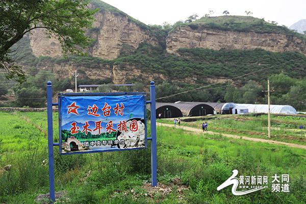 山西大同边台村：建新村挪穷窝 兴产业斩穷根